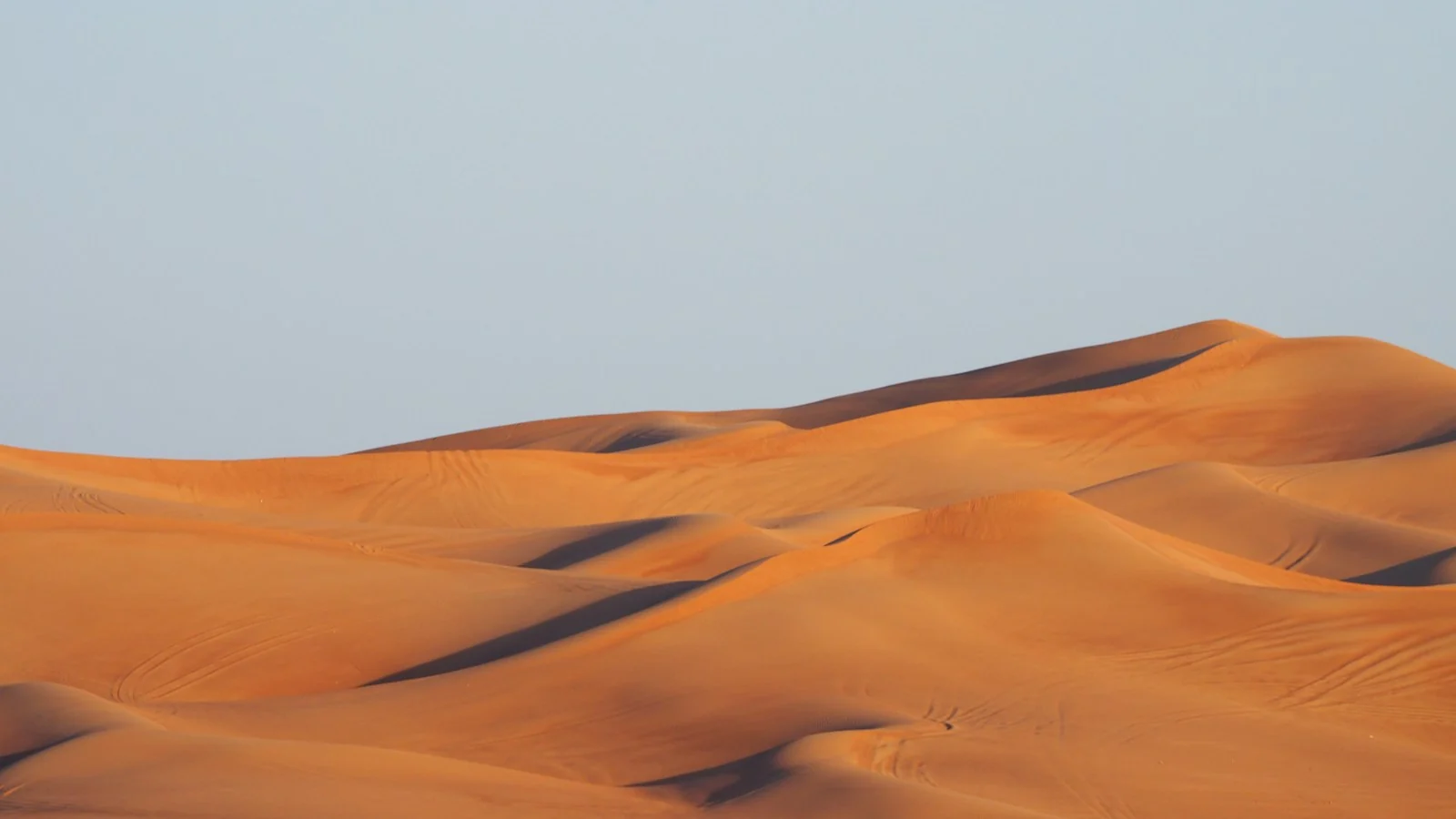 Desert dunes in warm light