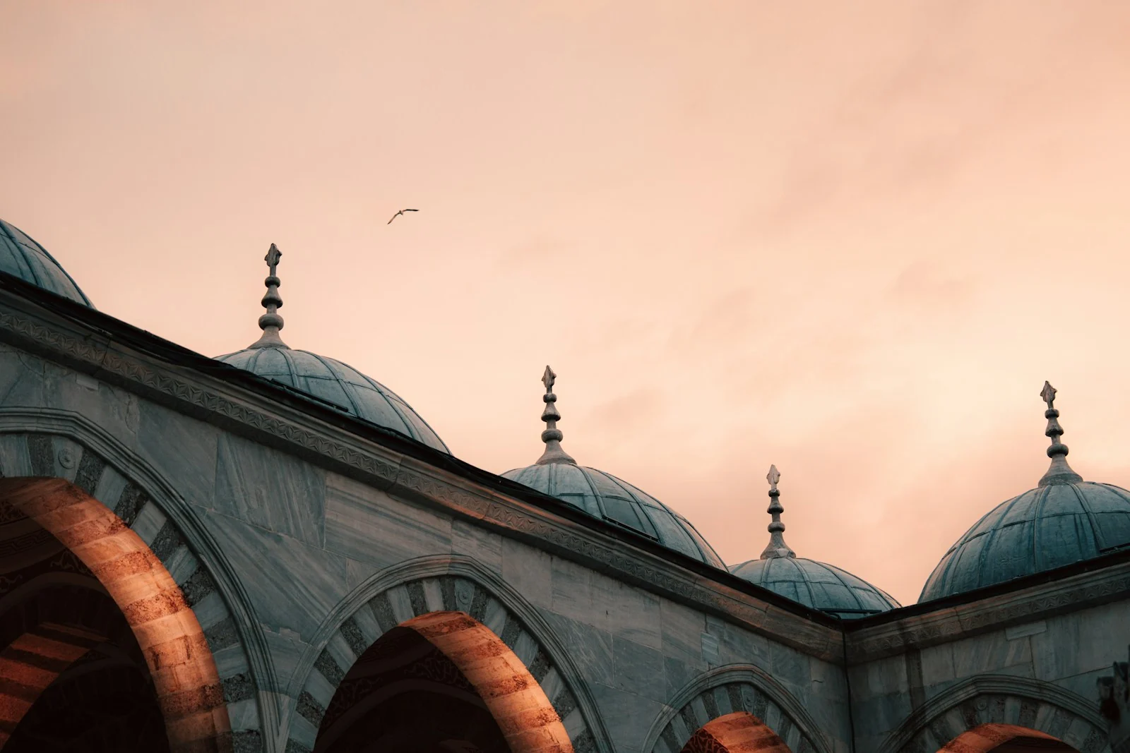 Mosque domes at dusk