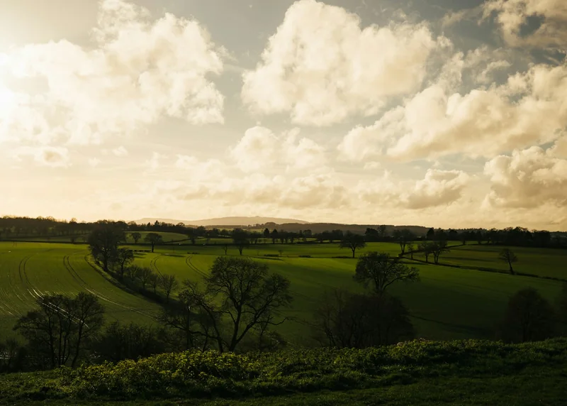 Green hills in evening light