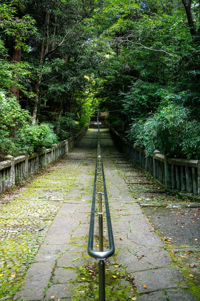 Stone steps among green trees