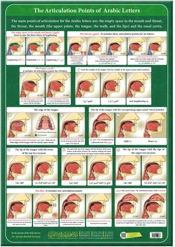لوحة مخارج الحروف العربية - إنجليزي قياس 50×70